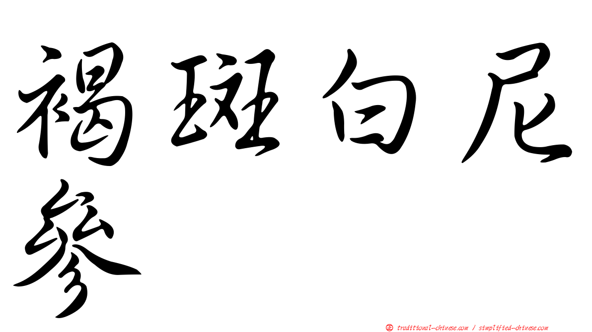 褐斑白尼參