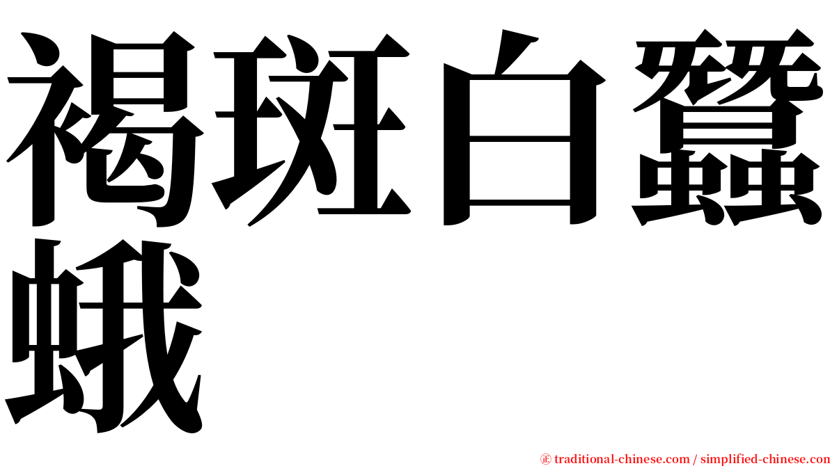 褐斑白蠶蛾 serif font
