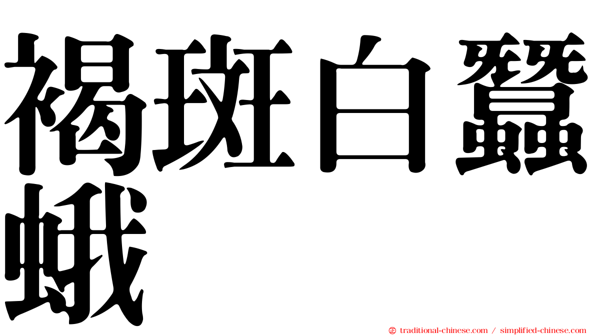 褐斑白蠶蛾