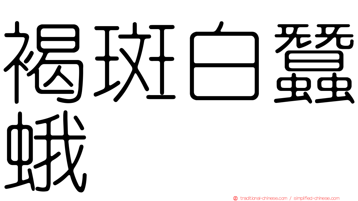 褐斑白蠶蛾