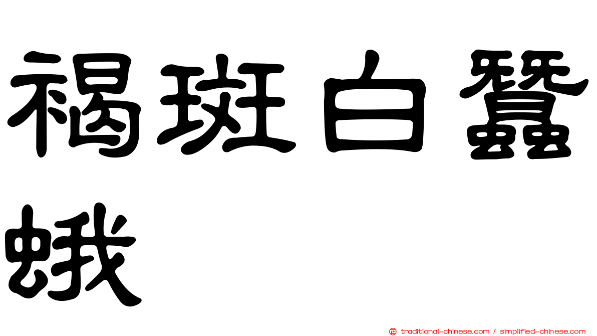 褐斑白蠶蛾