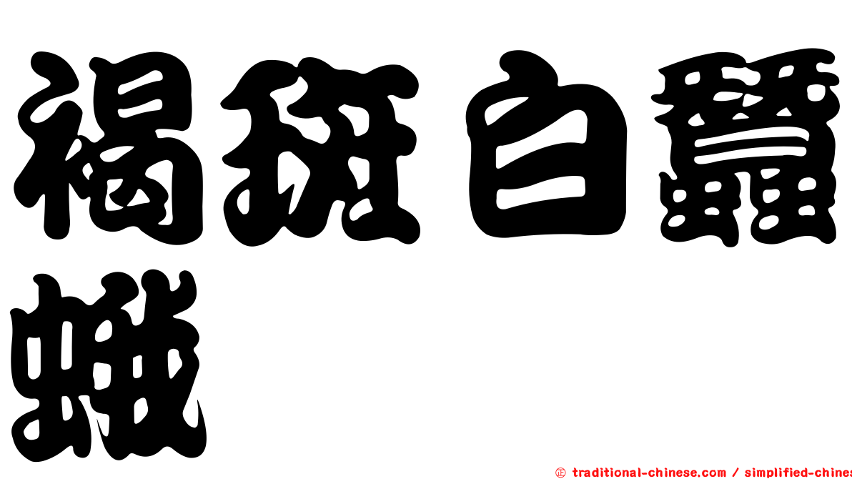 褐斑白蠶蛾