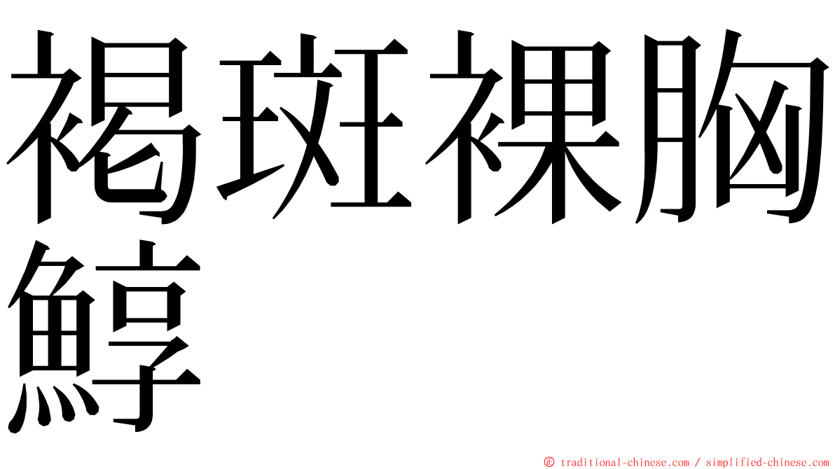 褐斑裸胸鯙 ming font