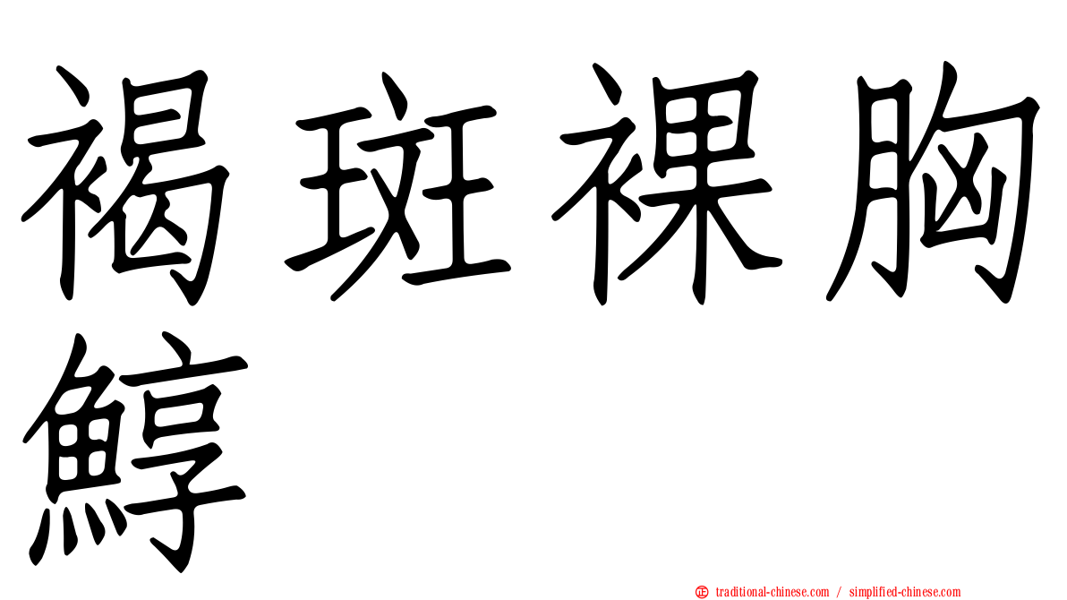 褐斑裸胸鯙