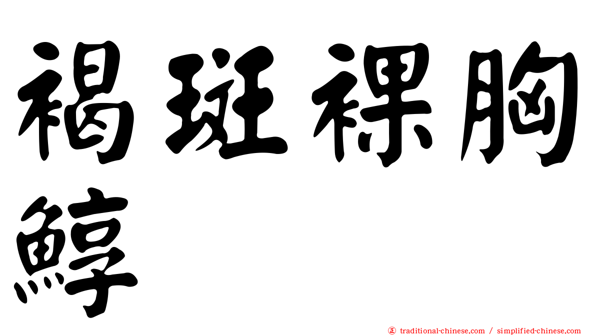 褐斑裸胸鯙