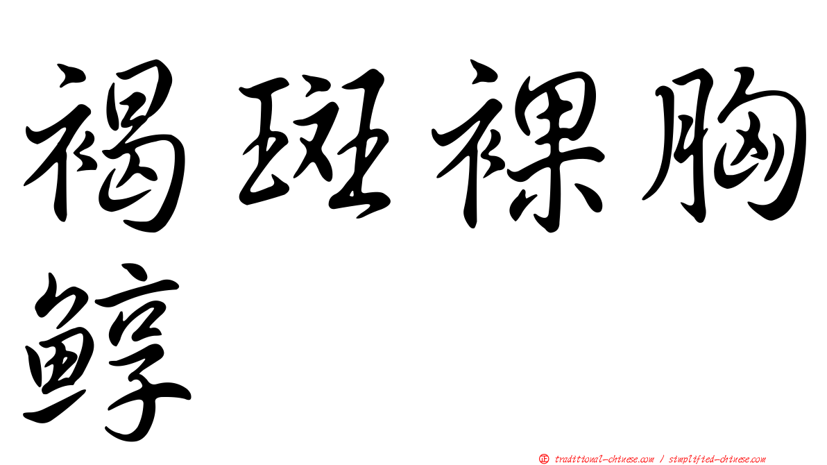 褐斑裸胸鯙