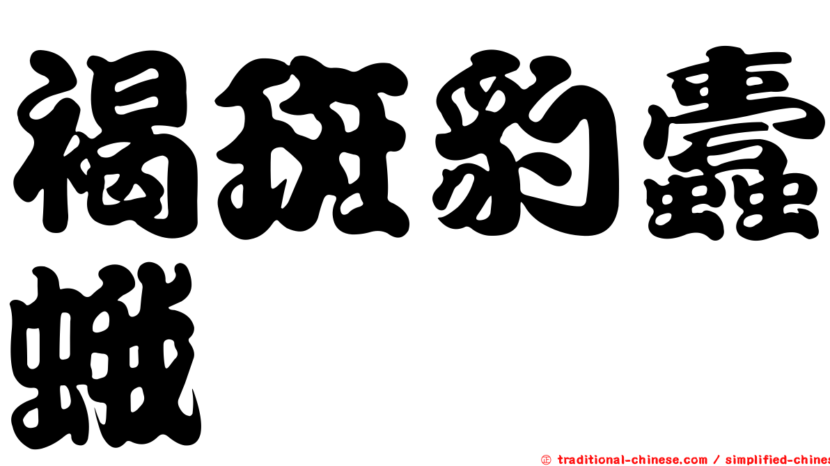 褐斑豹蠹蛾