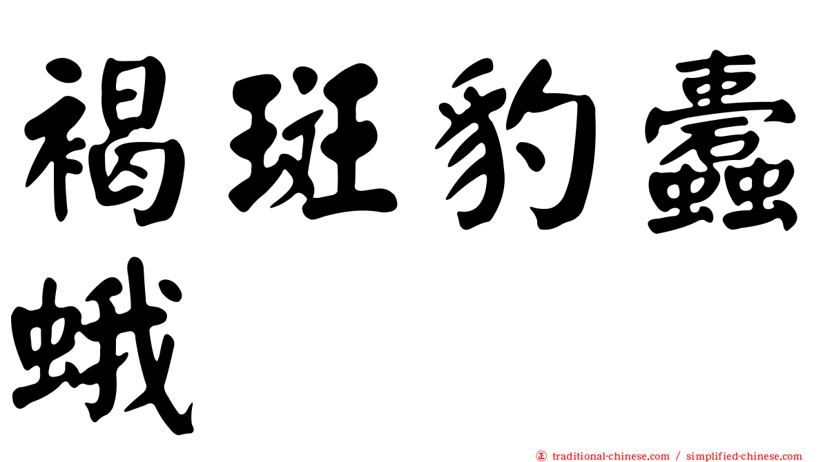 褐斑豹蠹蛾