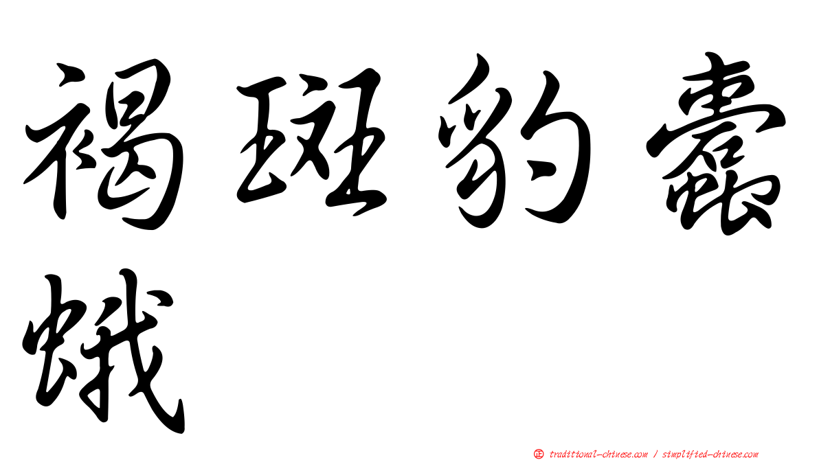 褐斑豹蠹蛾