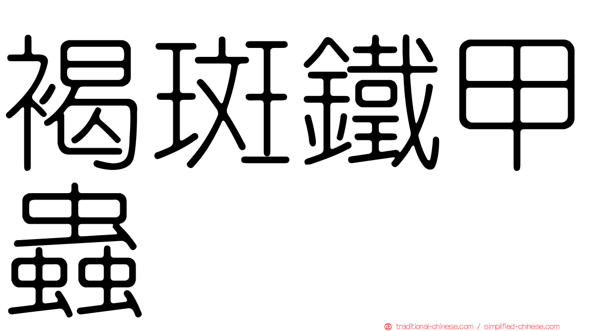褐斑鐵甲蟲