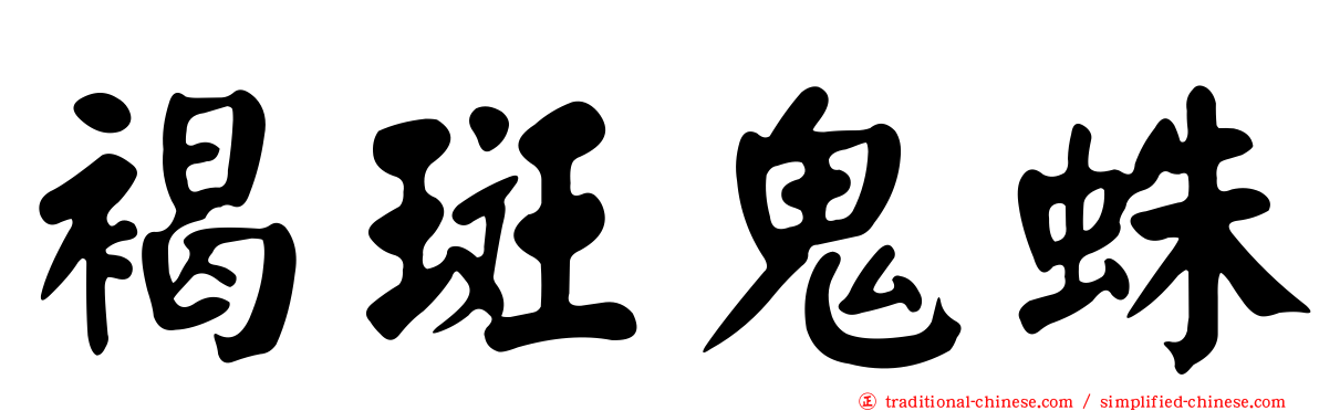 褐斑鬼蛛