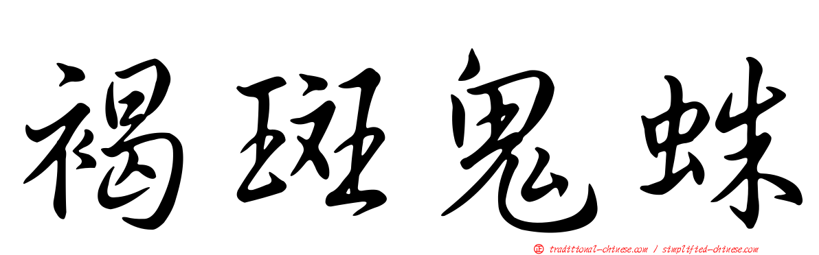 褐斑鬼蛛