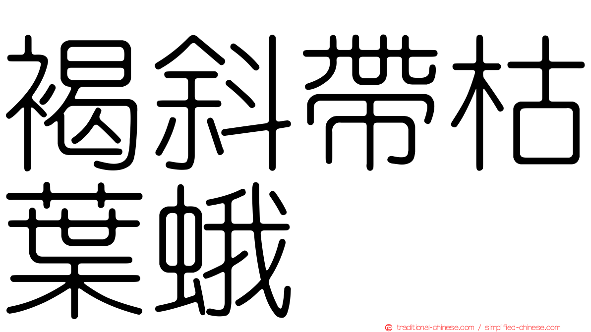 褐斜帶枯葉蛾