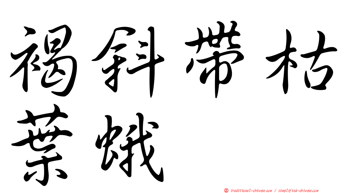 褐斜帶枯葉蛾