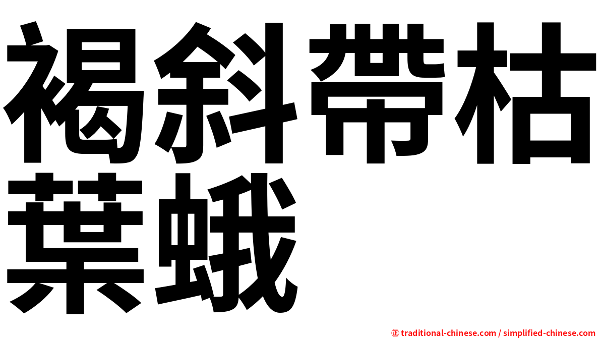 褐斜帶枯葉蛾