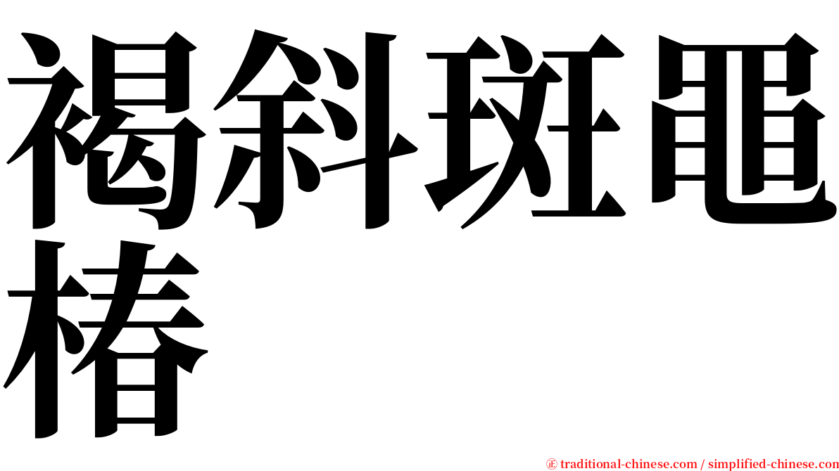 褐斜斑黽椿 serif font