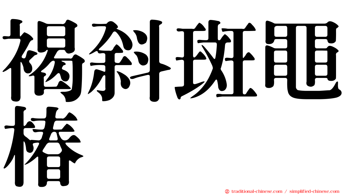 褐斜斑黽椿