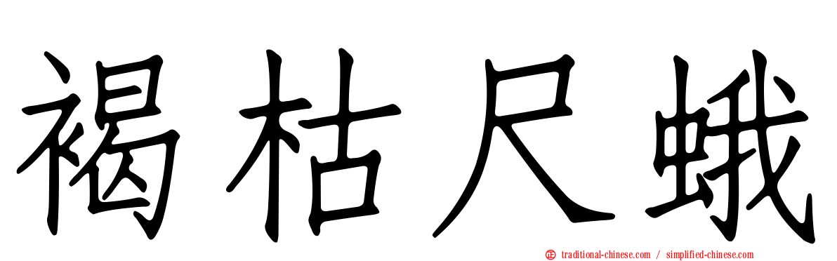 褐枯尺蛾