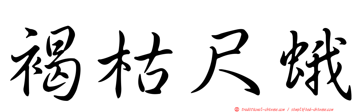 褐枯尺蛾
