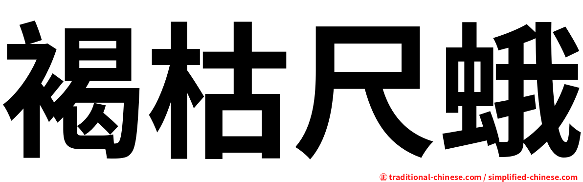 褐枯尺蛾