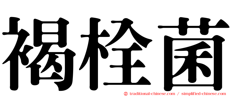 褐栓菌