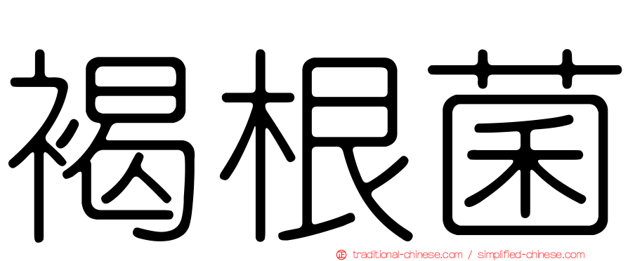 褐根菌