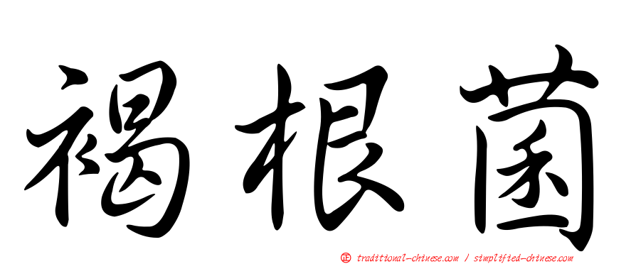 褐根菌