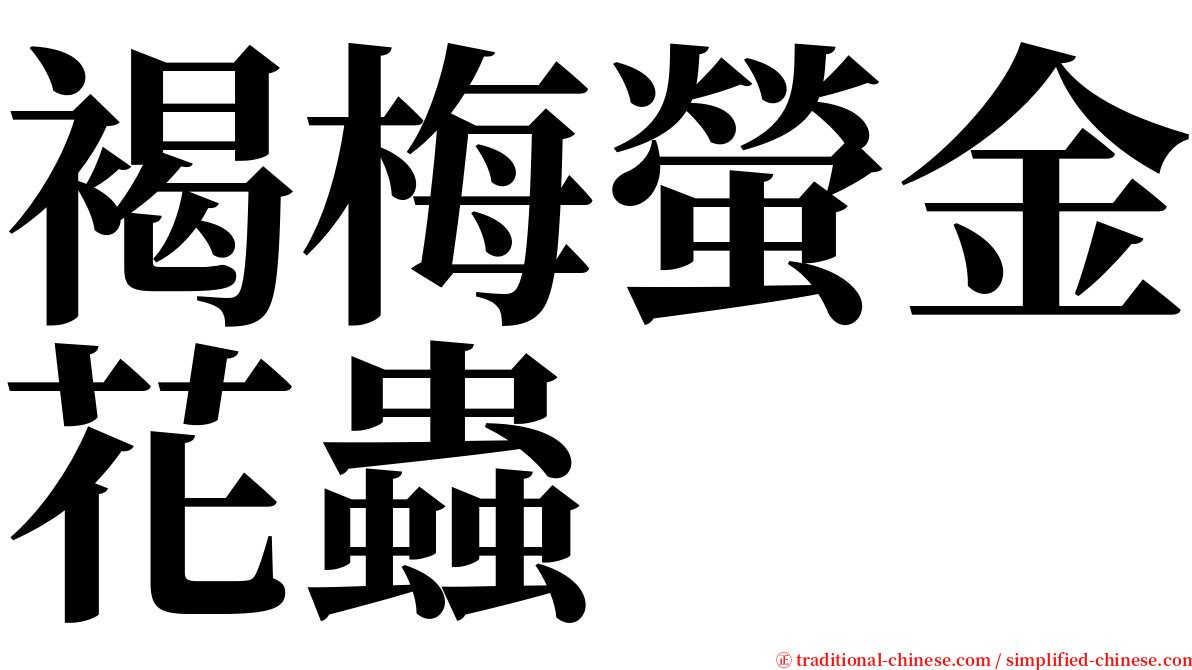 褐梅螢金花蟲 serif font
