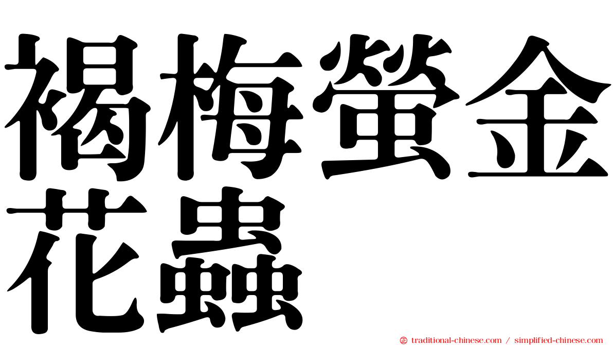 褐梅螢金花蟲