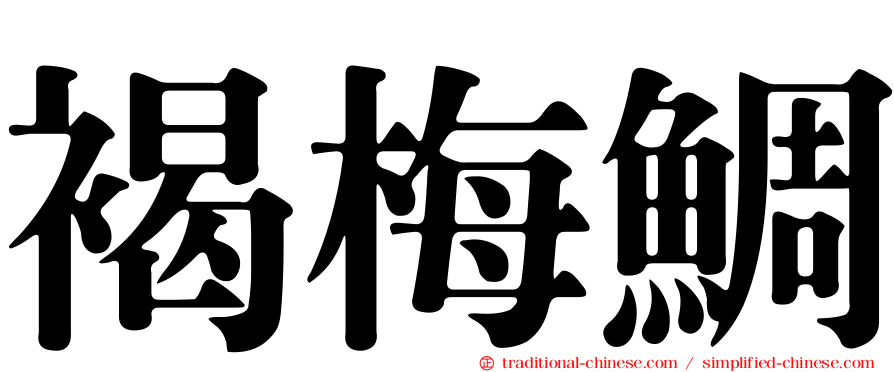 褐梅鯛