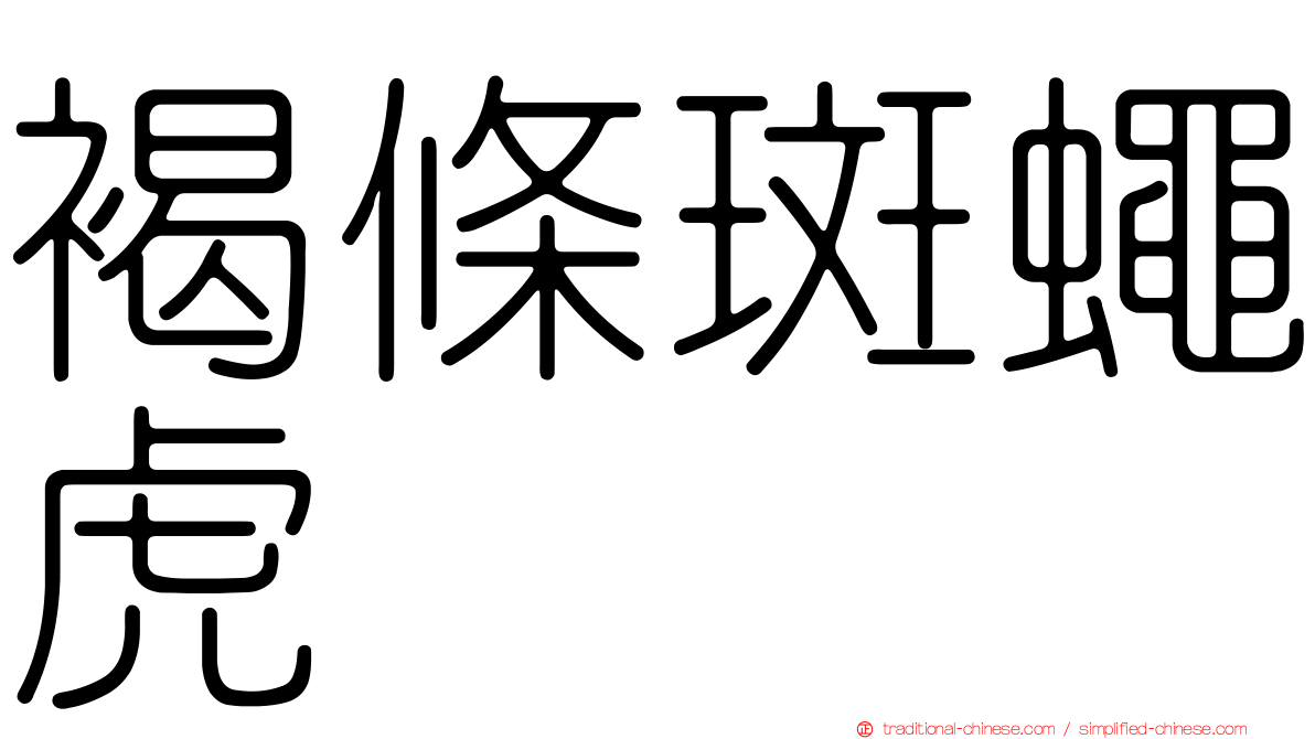 褐條斑蠅虎