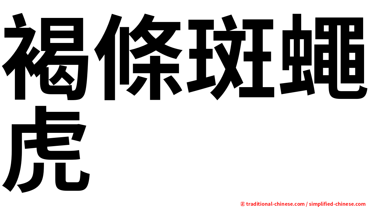 褐條斑蠅虎