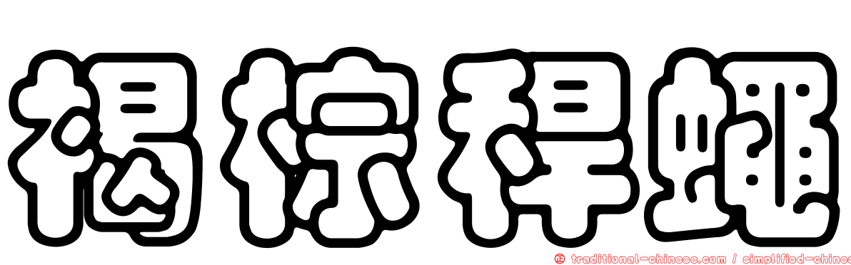 褐棕稈蠅