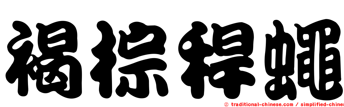 褐棕稈蠅