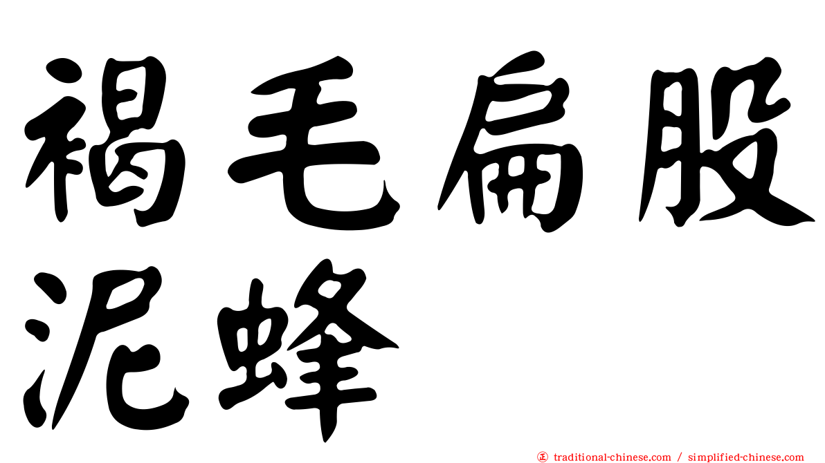 褐毛扁股泥蜂