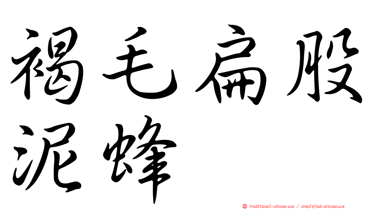 褐毛扁股泥蜂