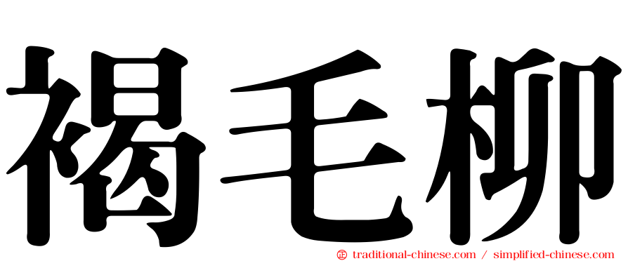 褐毛柳