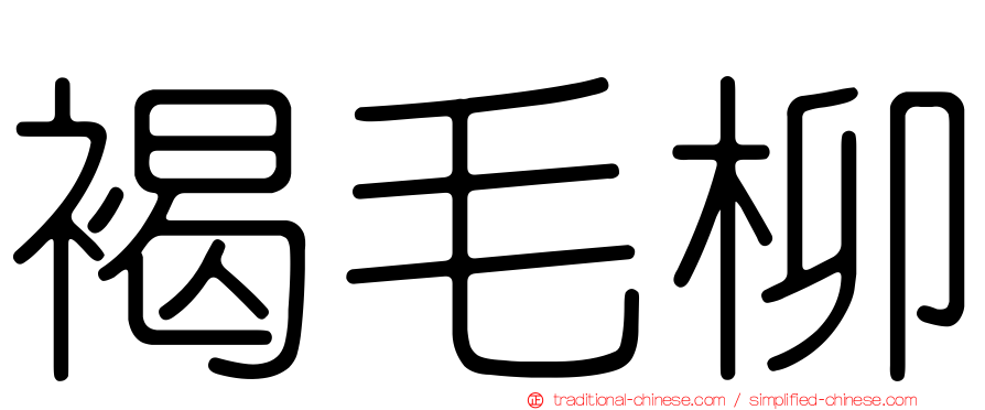 褐毛柳