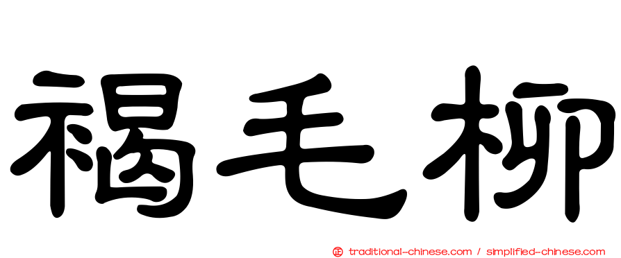 褐毛柳