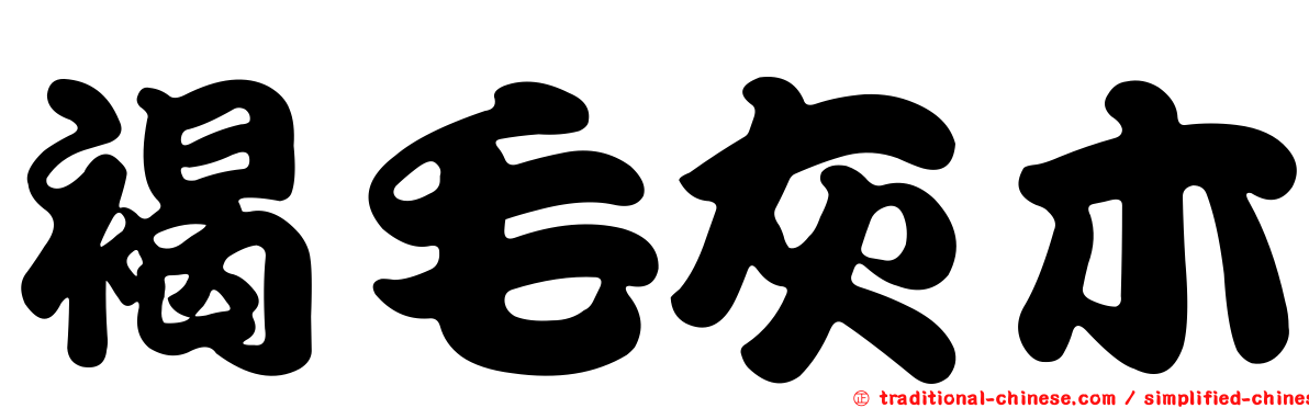 褐毛灰木