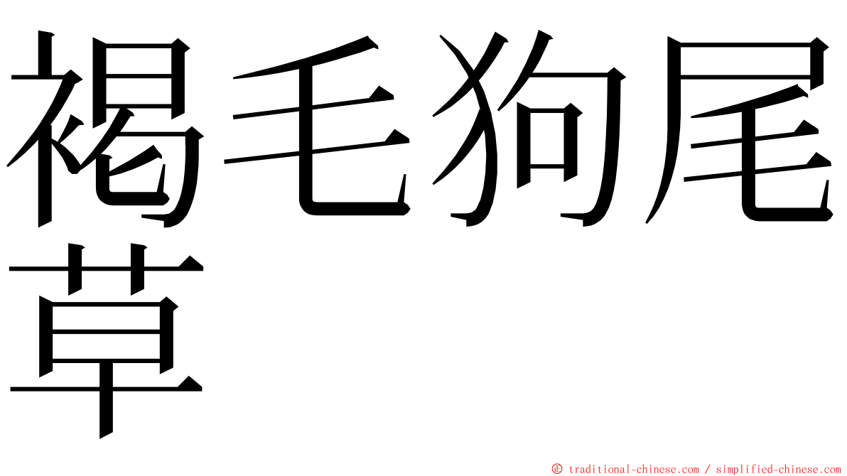 褐毛狗尾草 ming font