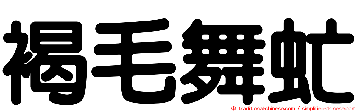 褐毛舞虻