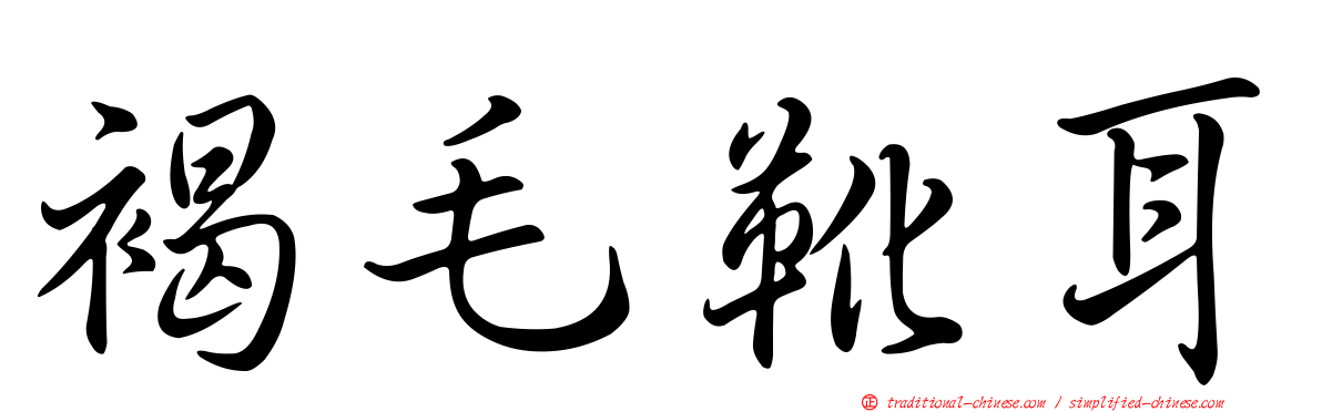 褐毛靴耳