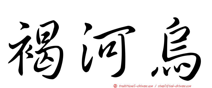 褐河烏