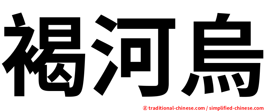 褐河烏