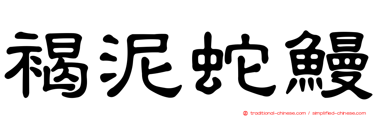 褐泥蛇鰻