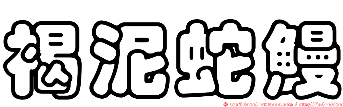 褐泥蛇鰻