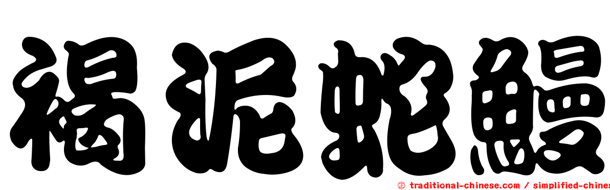 褐泥蛇鰻