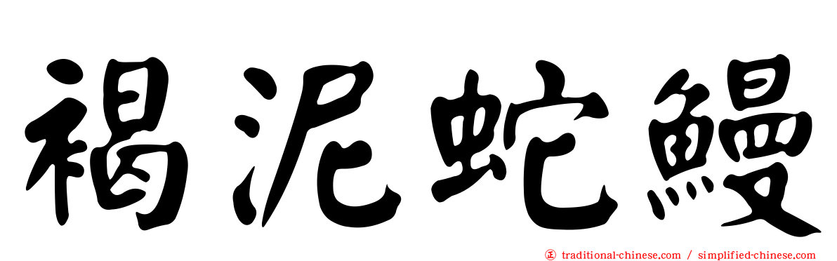 褐泥蛇鰻