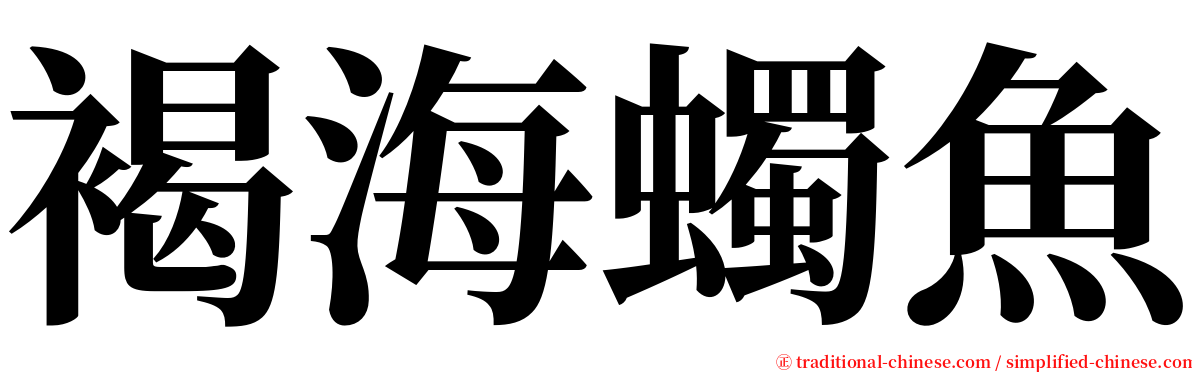 褐海蠋魚 serif font